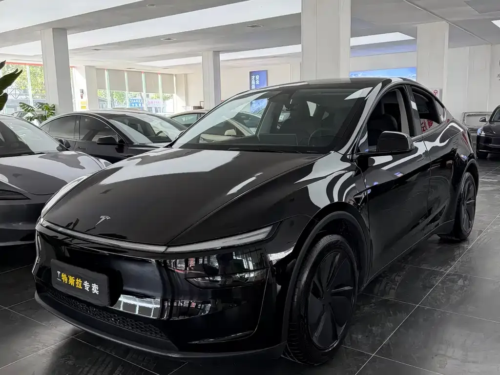 Tesla Model Y 2025 из CN, фото 1