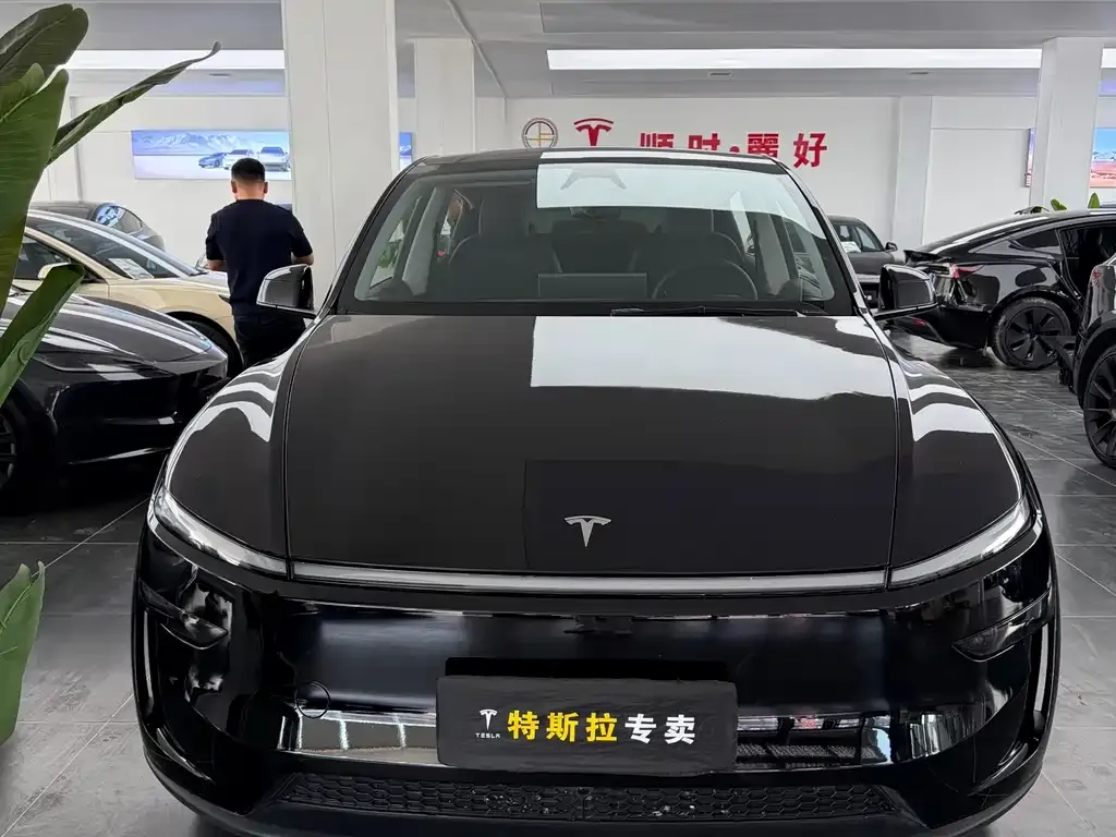 Tesla Model Y 2025 из CN, фото 4