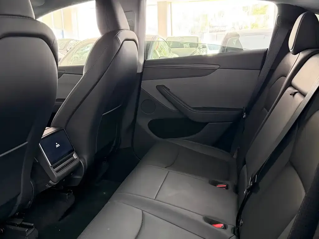 Tesla Model Y 2025 из CN, фото 2