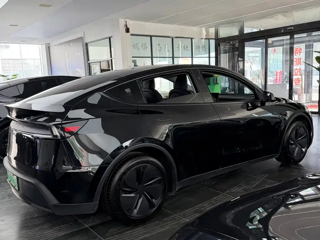 Tesla Model Y 2025 из CN, фото 6
