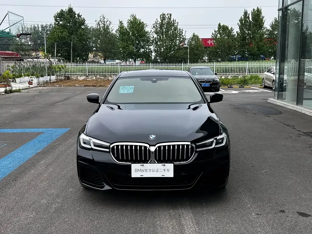 BMW 5 Series 2022 из CN, фото 4