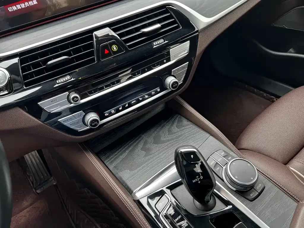BMW 5 Series 2022 из CN, фото 5