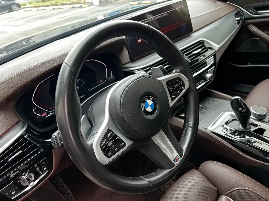 BMW 5 Series 2022 из CN, фото 8