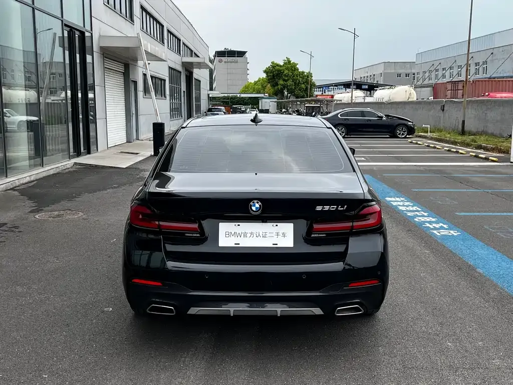 BMW 5 Series 2022 из CN, фото 6