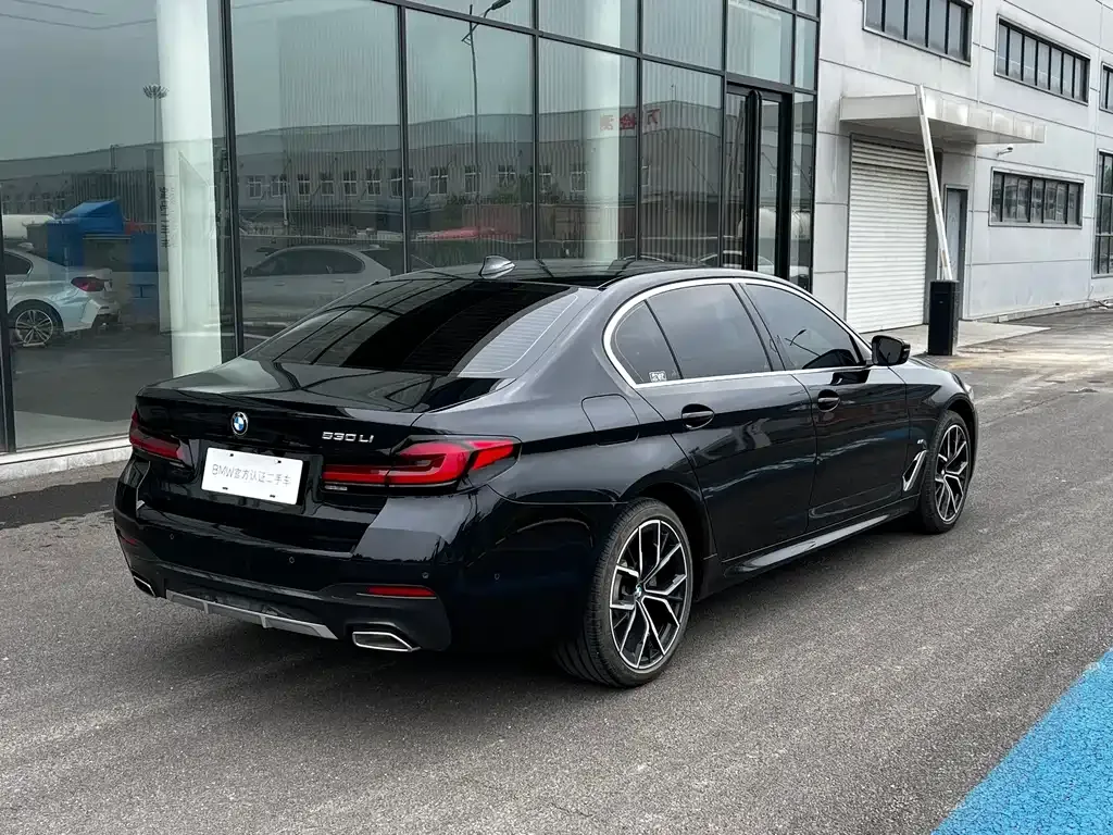 BMW 5 Series 2022 из CN, фото 9