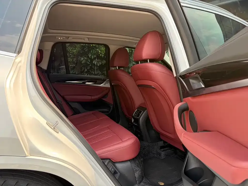BMW X3 2024 из CN, фото 9