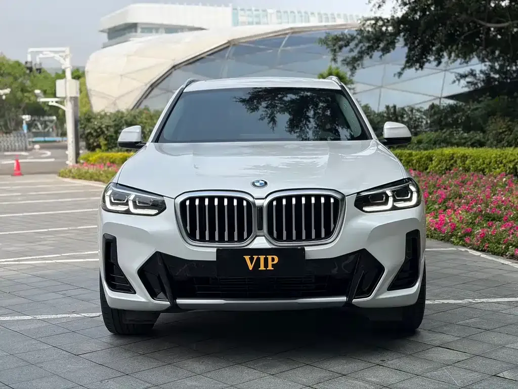BMW X3 2024 из CN, фото 10