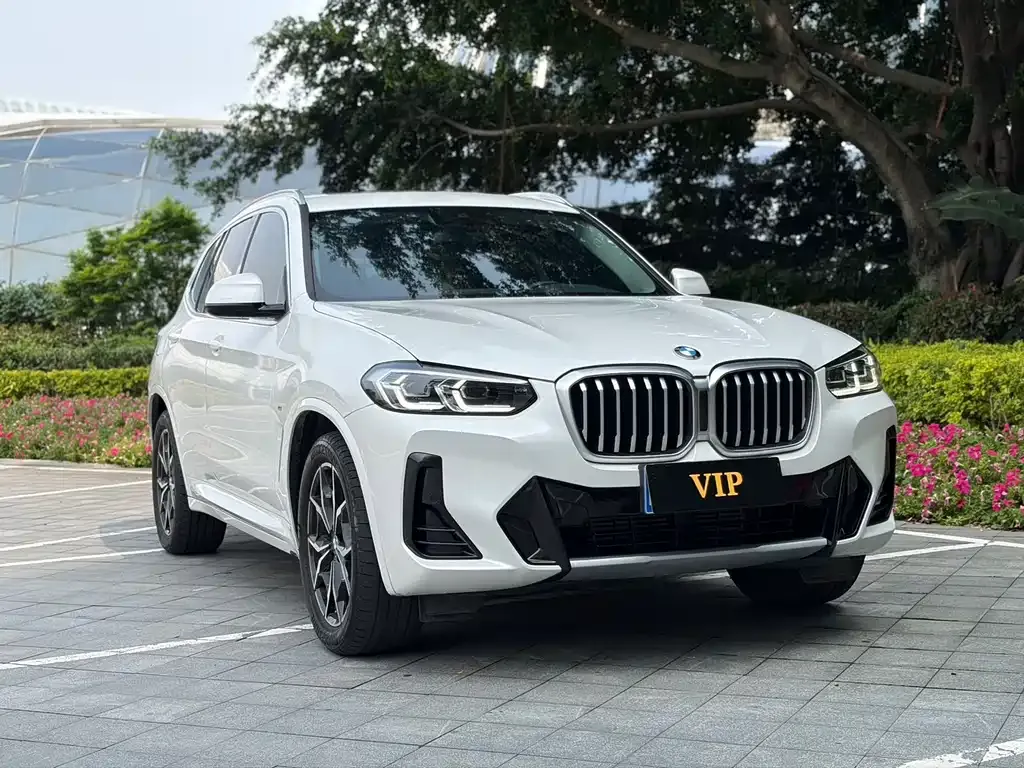 BMW X3 2024 из CN, фото 7