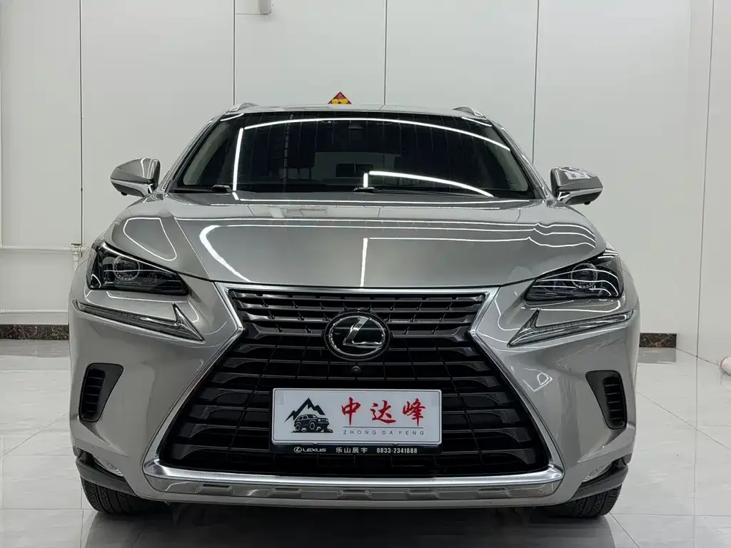 Lexus NX 2021 из CN, фото 8
