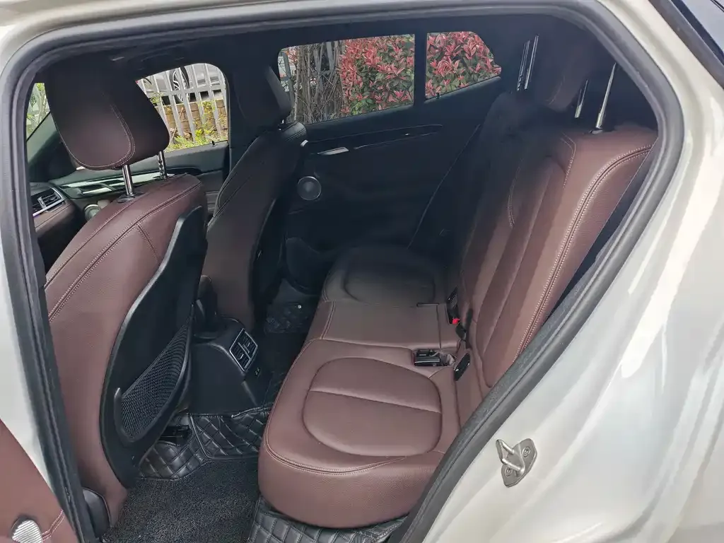 BMW X2 2021 из CN, фото 4