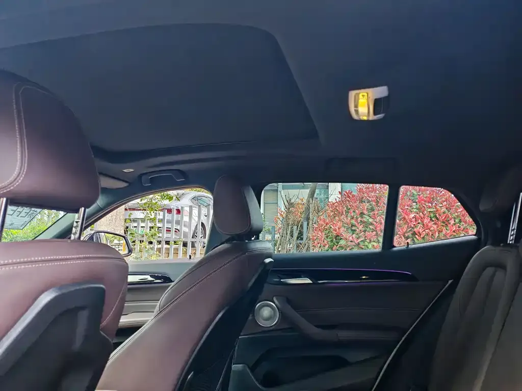 BMW X2 2021 из CN, фото 2