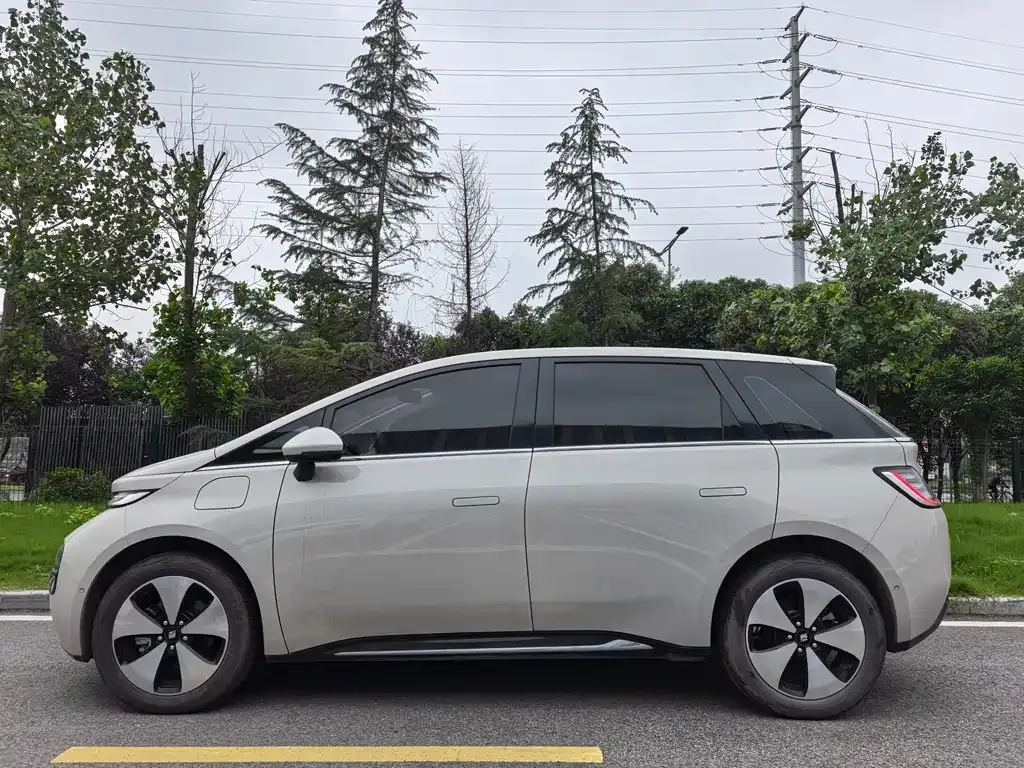 Baojun Yunduo 2024 из CN, фото 3