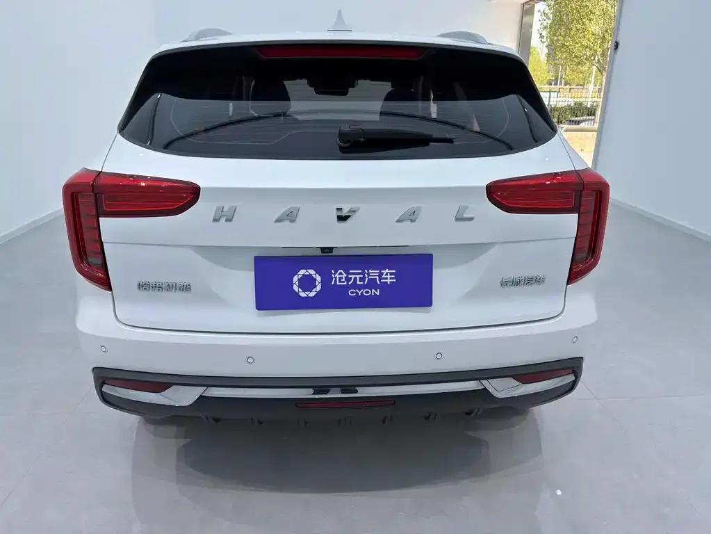 Haval Chulian 2022 из CN, фото 3