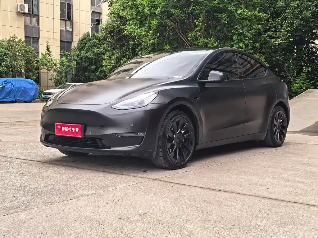 Tesla Model Y 2021 из CN, фото 1