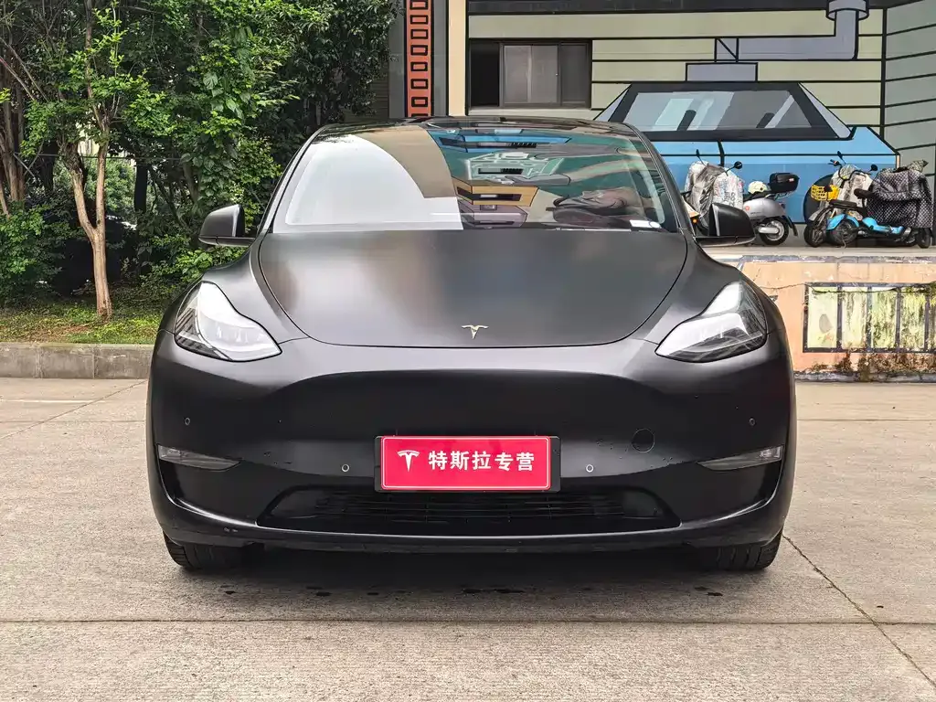 Tesla Model Y 2021 из CN, фото 10