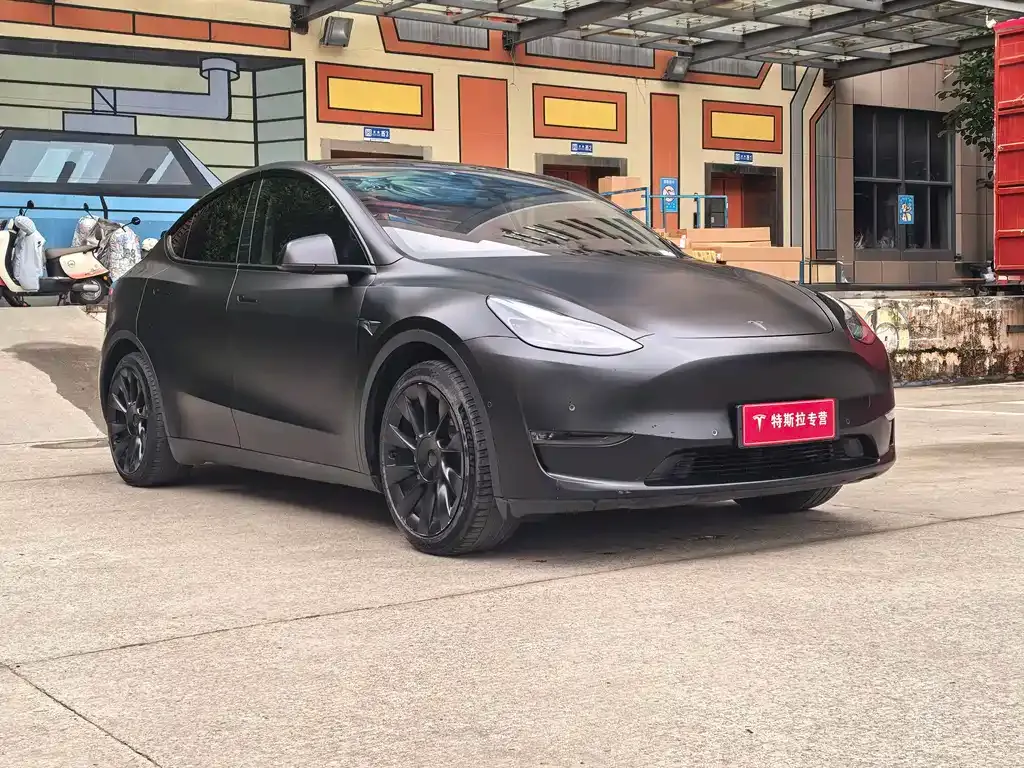 Tesla Model Y 2021 из CN, фото 7