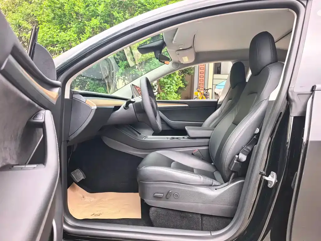 Tesla Model Y 2021 из CN, фото 6