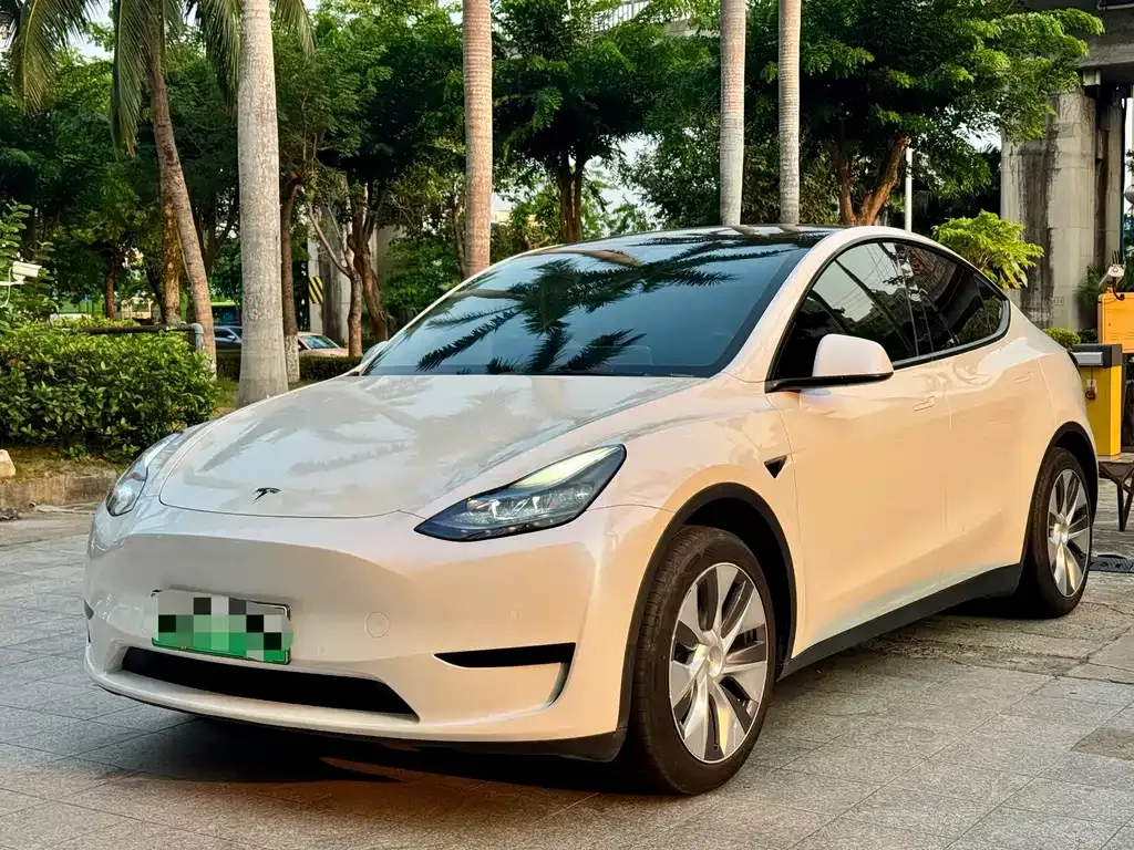 Tesla Model Y 2023 из CN, фото 1