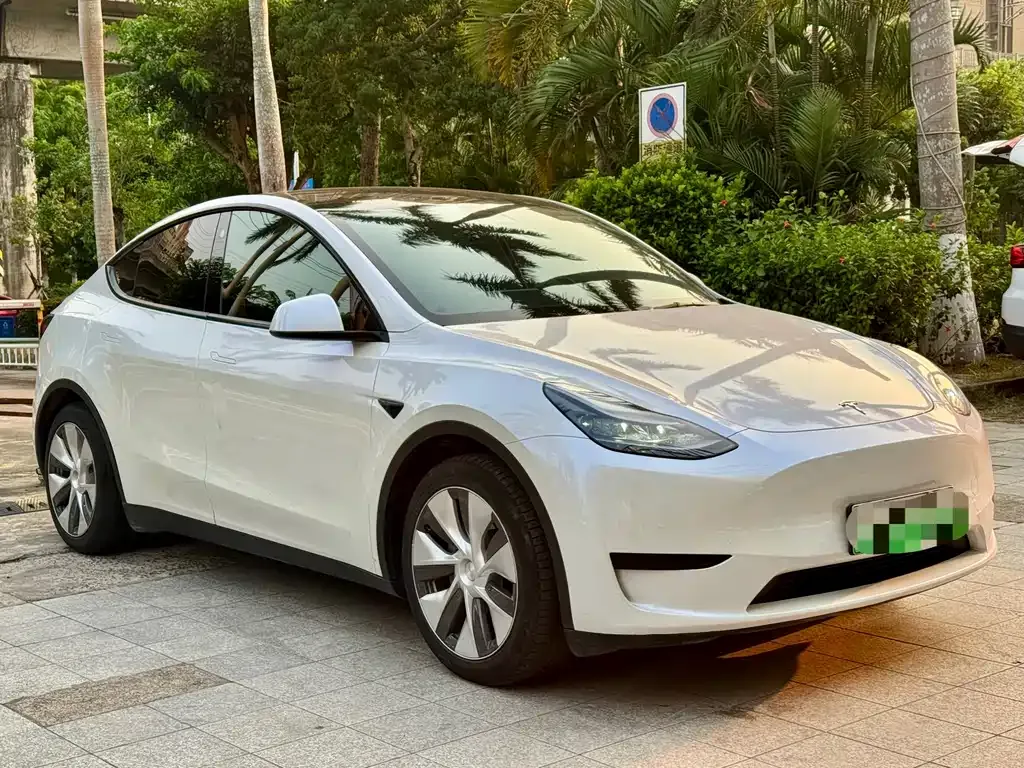 Tesla Model Y 2023 из CN, фото 7