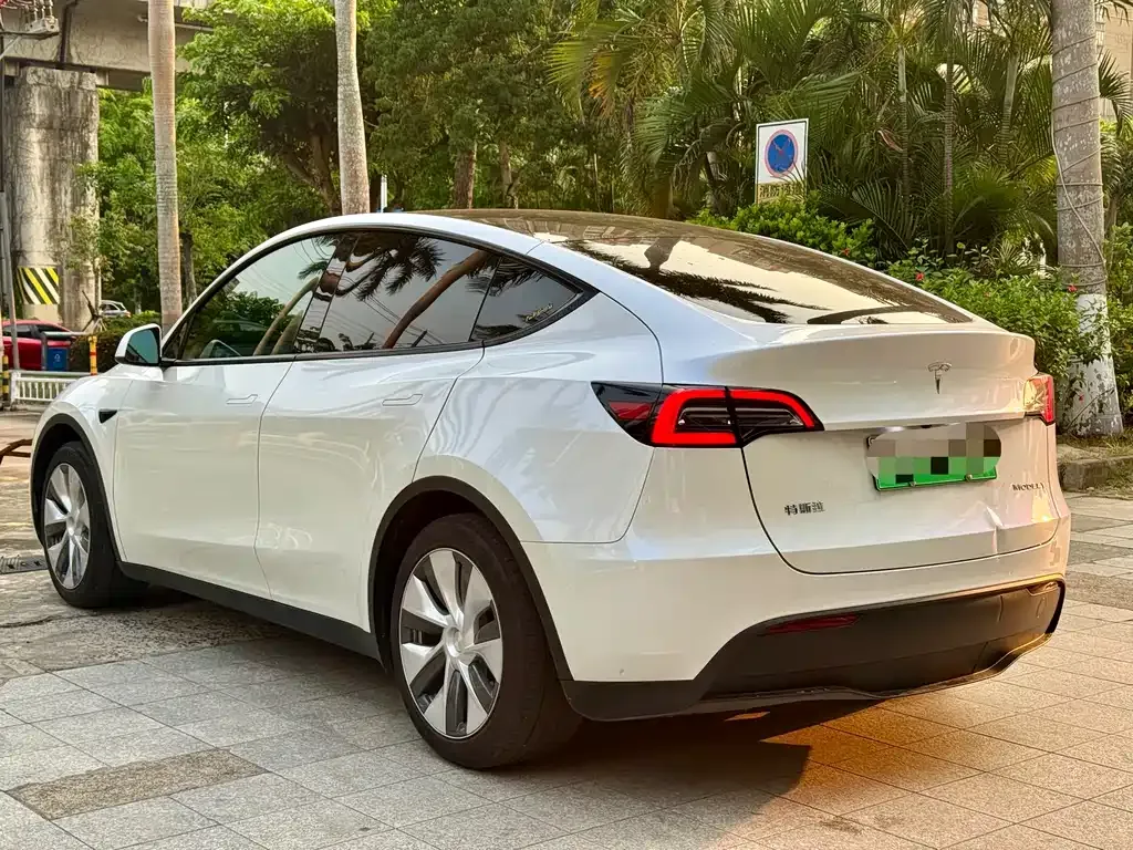Tesla Model Y 2023 из CN, фото 6