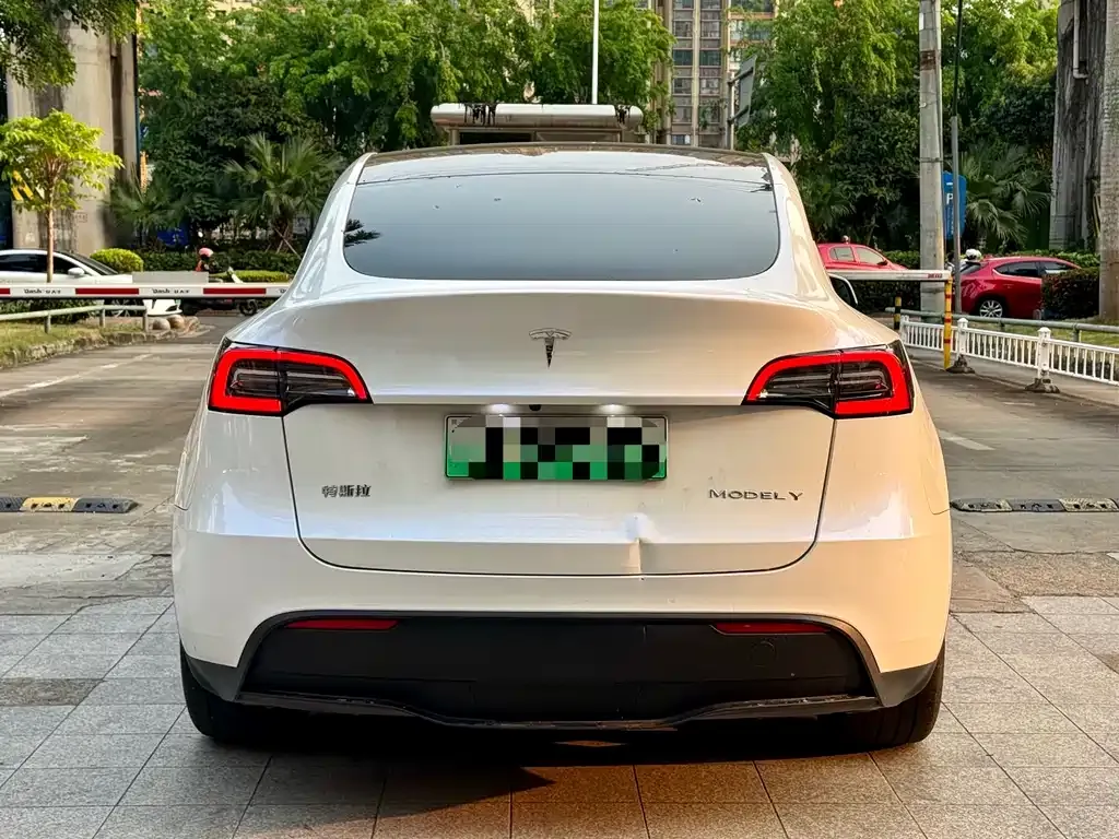 Tesla Model Y 2023 из CN, фото 5