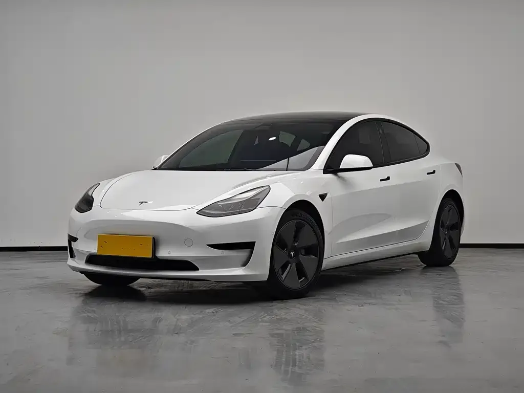 Tesla Model 3 2021 из CN, фото 1