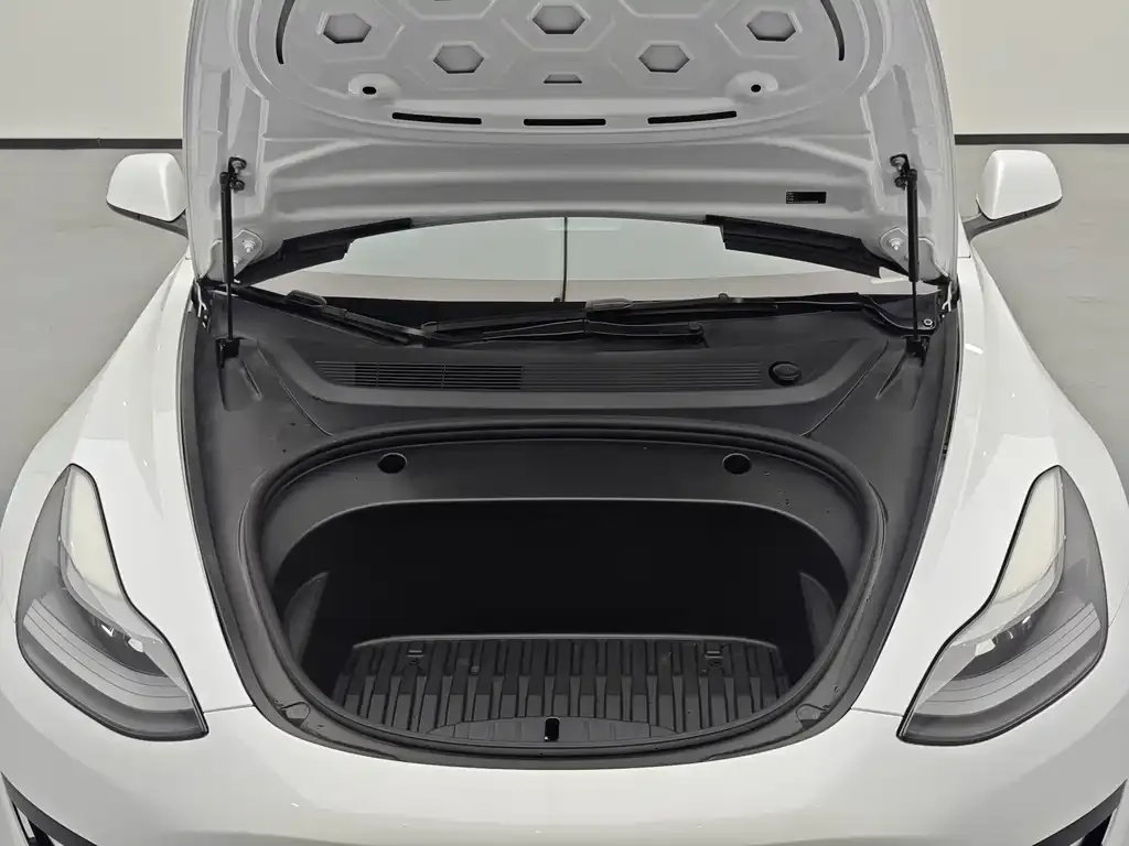 Tesla Model 3 2021 из CN, фото 5