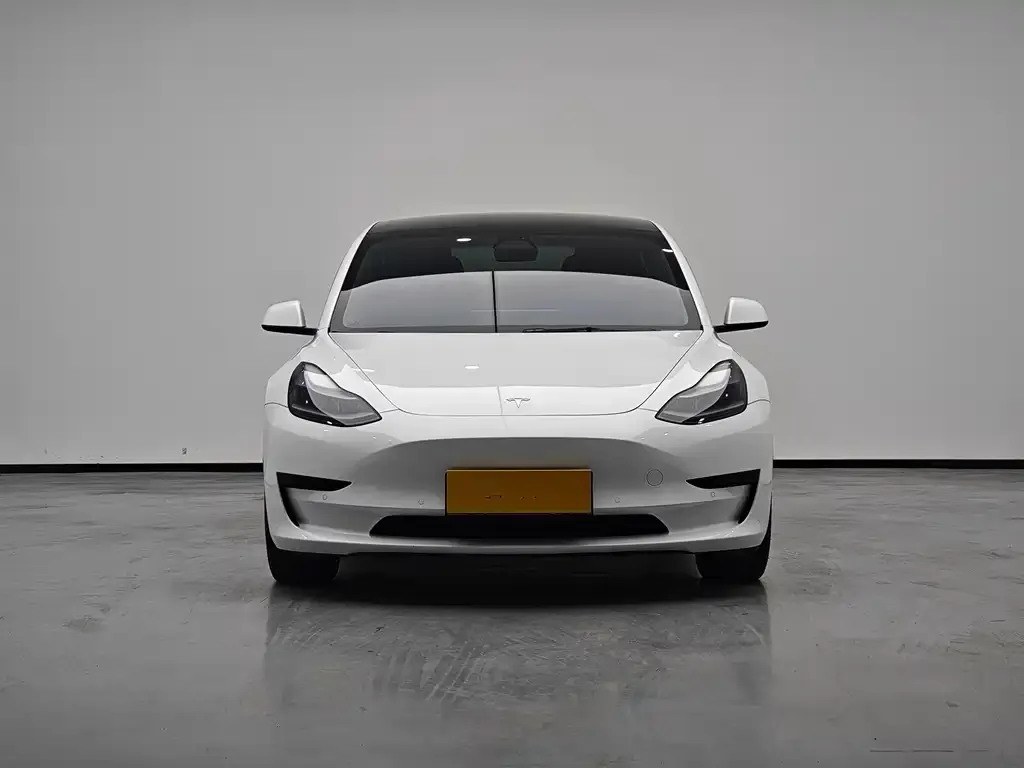 Tesla Model 3 2021 из CN, фото 2