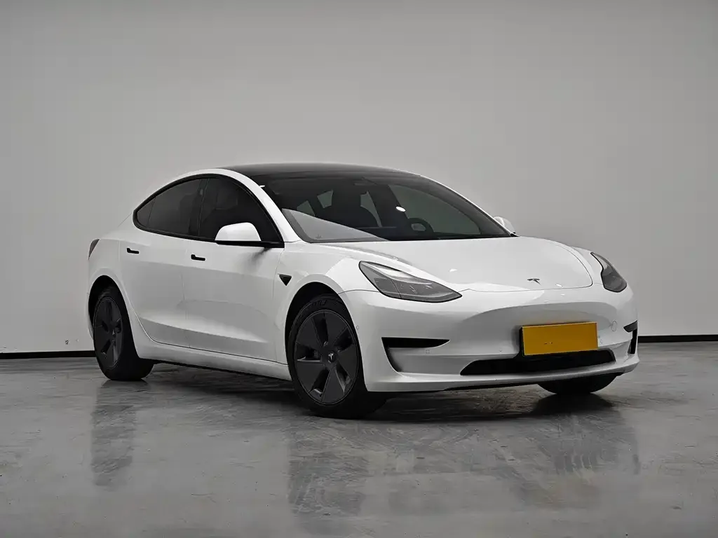 Tesla Model 3 2021 из CN, фото 4