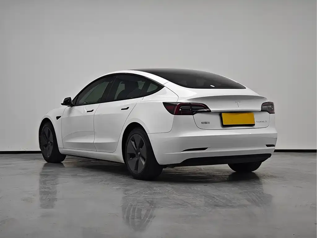 Tesla Model 3 2021 из CN, фото 7