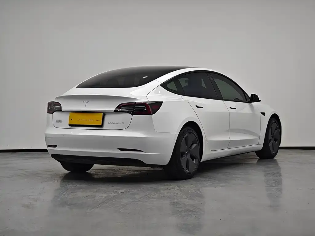 Tesla Model 3 2021 из CN, фото 3