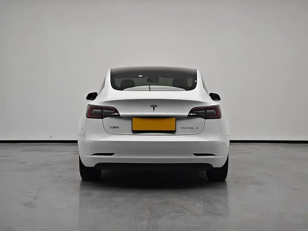 Tesla Model 3 2021 из CN, фото 6