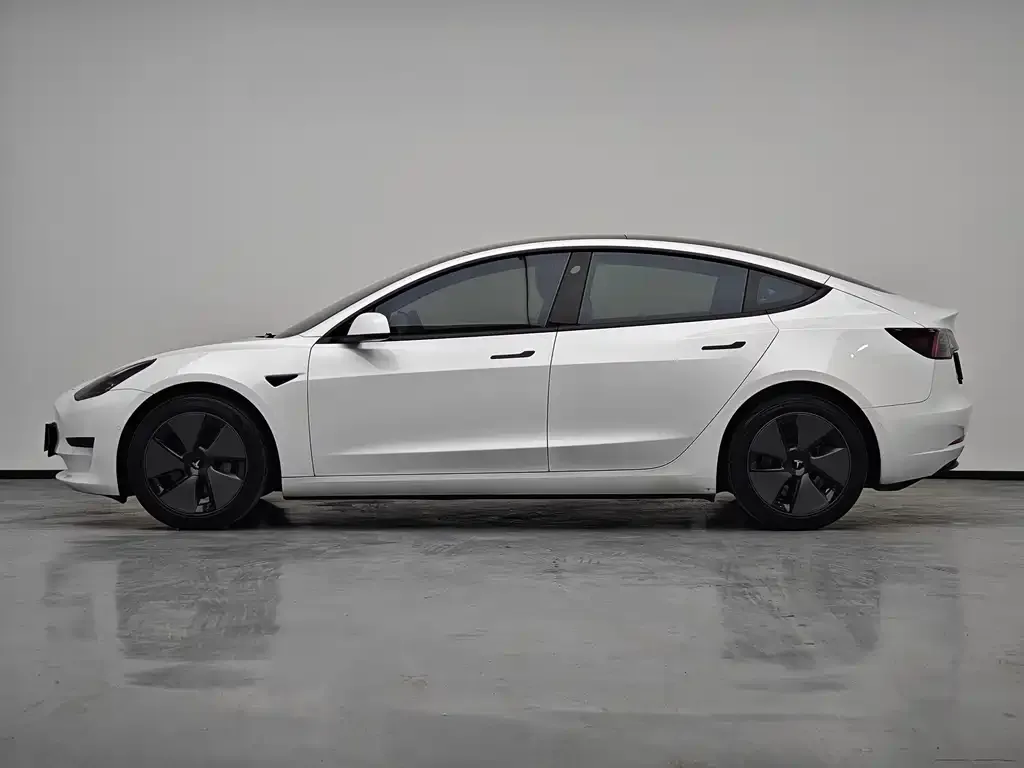 Tesla Model 3 2021 из CN, фото 8