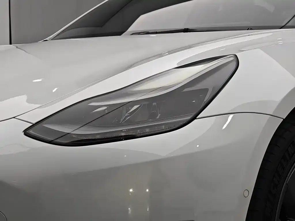 Tesla Model 3 2021 из CN, фото 10