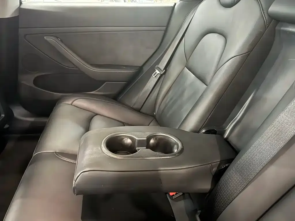 Tesla Model 3 2021 из CN, фото 4