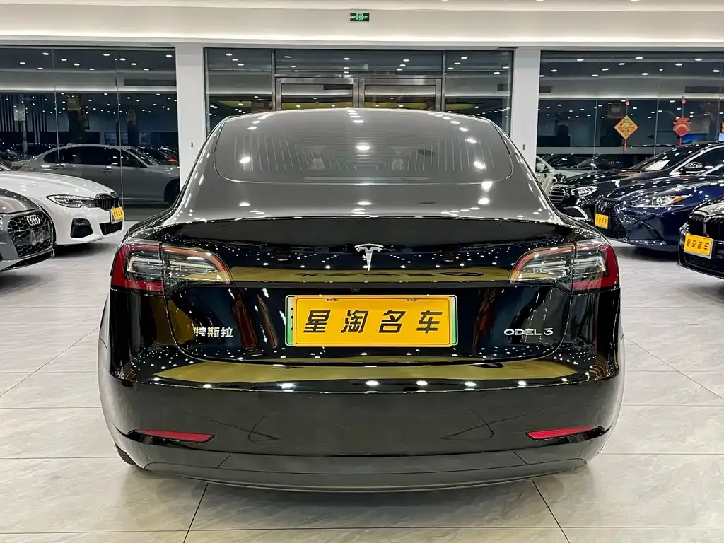 Tesla Model 3 2021 из CN, фото 3