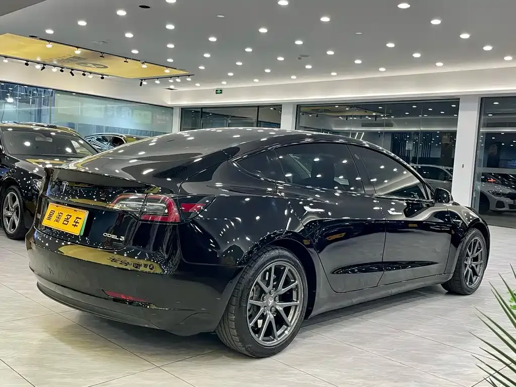 Tesla Model 3 2021 из CN, фото 6