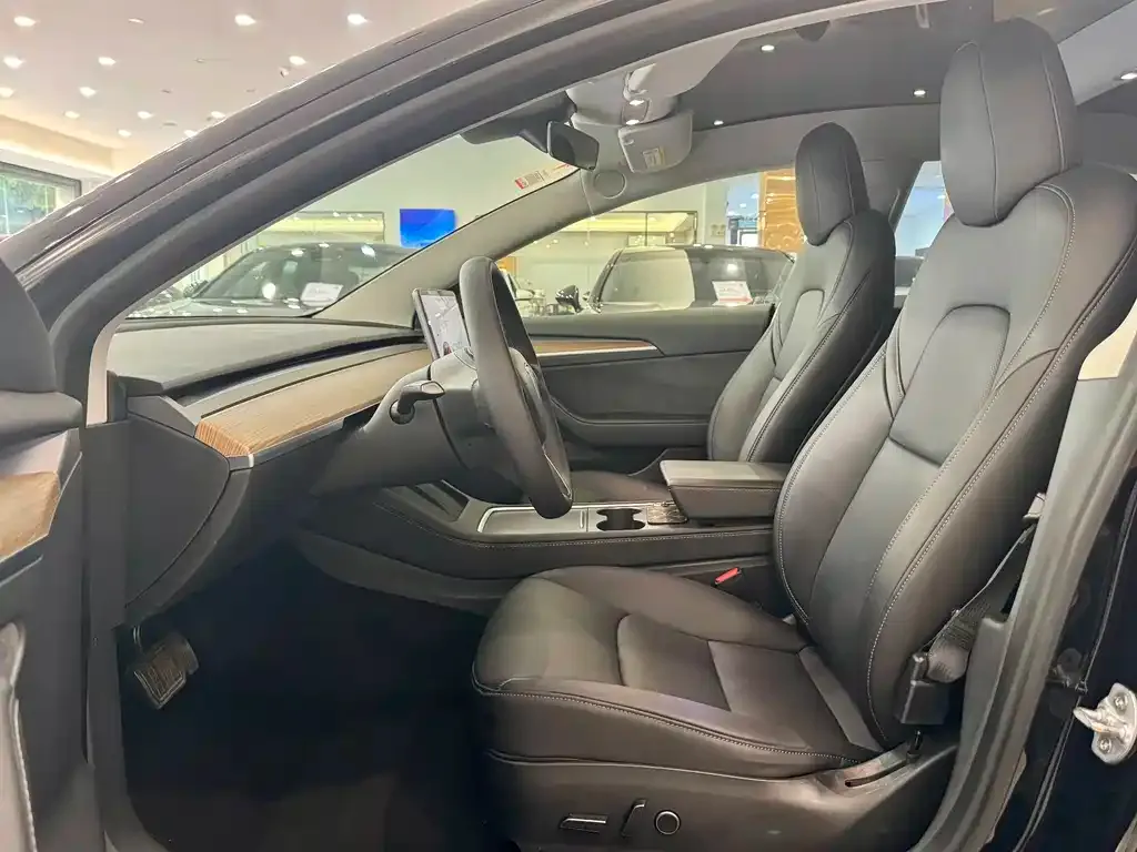 Tesla Model 3 2021 из CN, фото 2