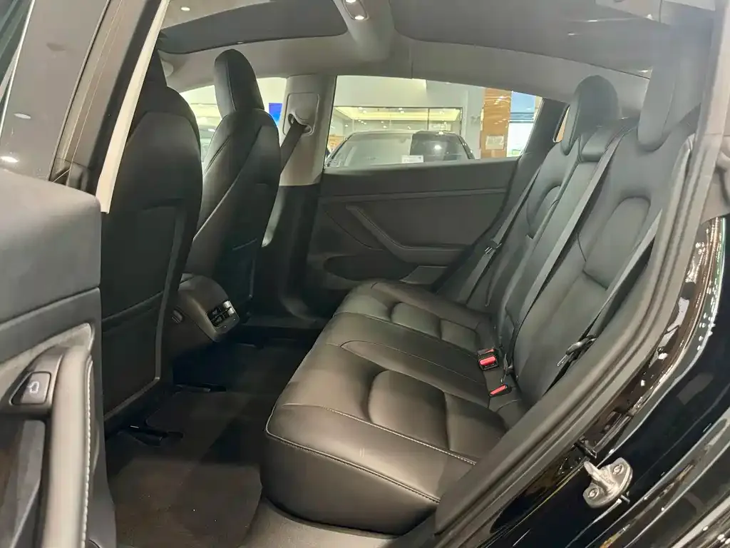 Tesla Model 3 2021 из CN, фото 5