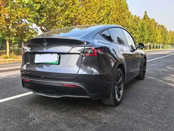 Tesla Model Y 2024 из CN, фото 9