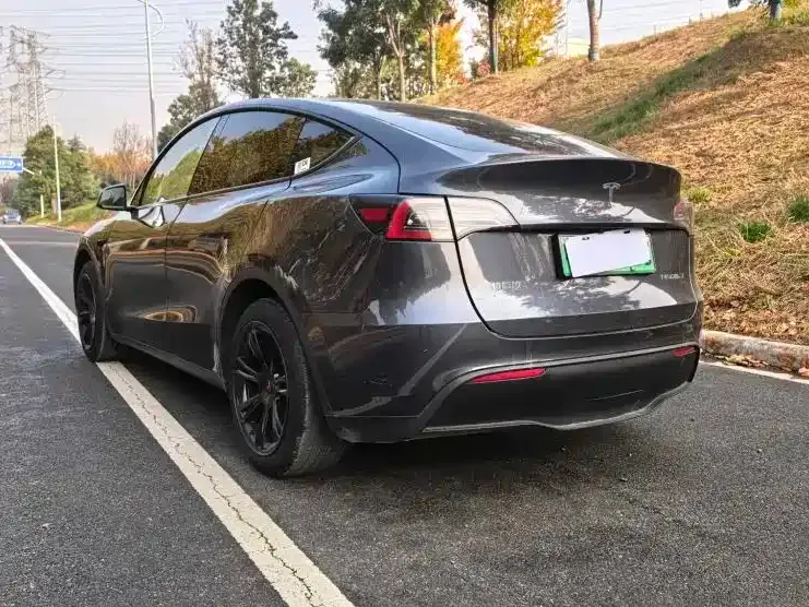 Tesla Model Y 2024 из CN, фото 5