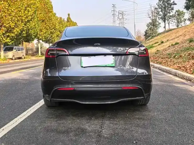 Tesla Model Y 2024 из CN, фото 6