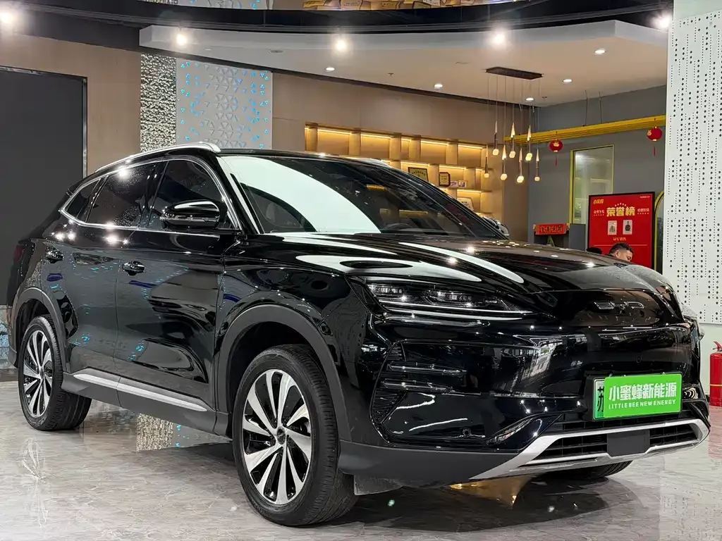 BYD PLUS New Energy — фото 9
