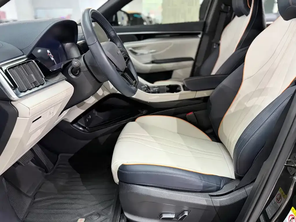 BYD PLUS New Energy — фото 6