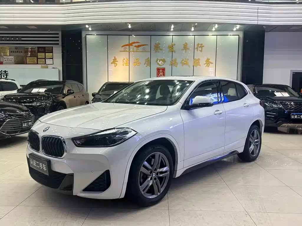 BMW X2 2021 из CN, фото 1