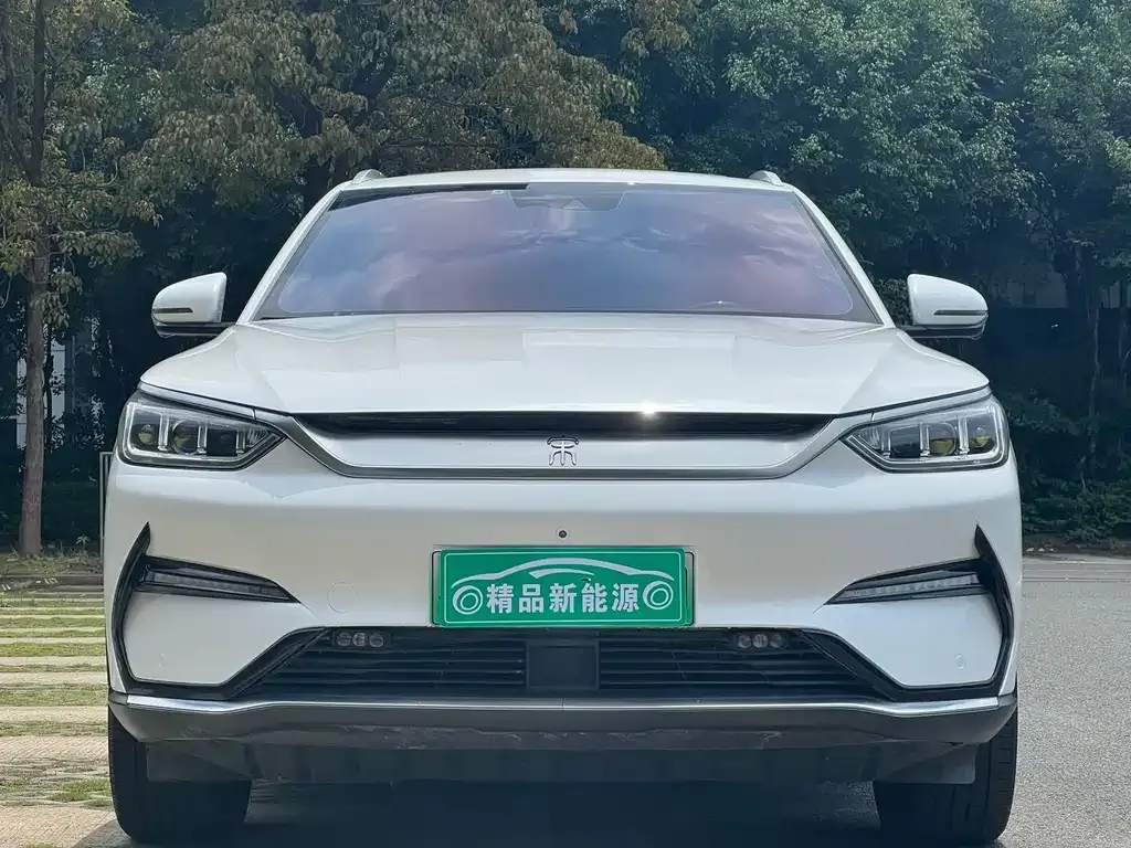 BYD PLUS New Energy 2022 из CN, фото 2