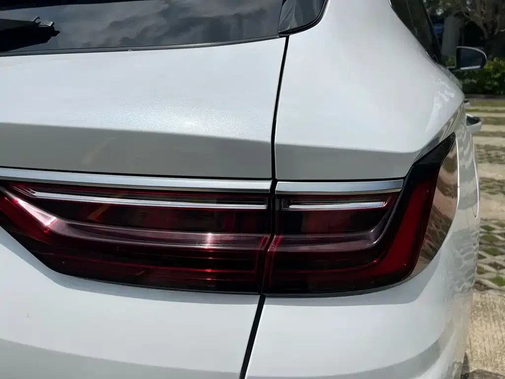 BYD PLUS New Energy 2022 из CN, фото 6