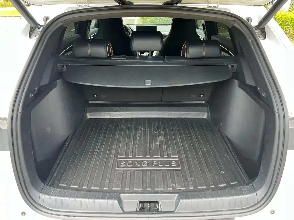 BYD PLUS New Energy 2022 из CN, фото 8
