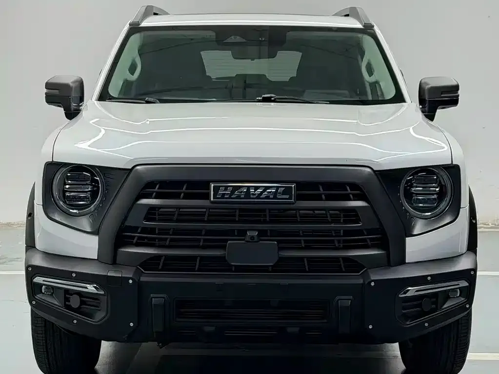 Haval Big Dog 2024 из CN, фото 3