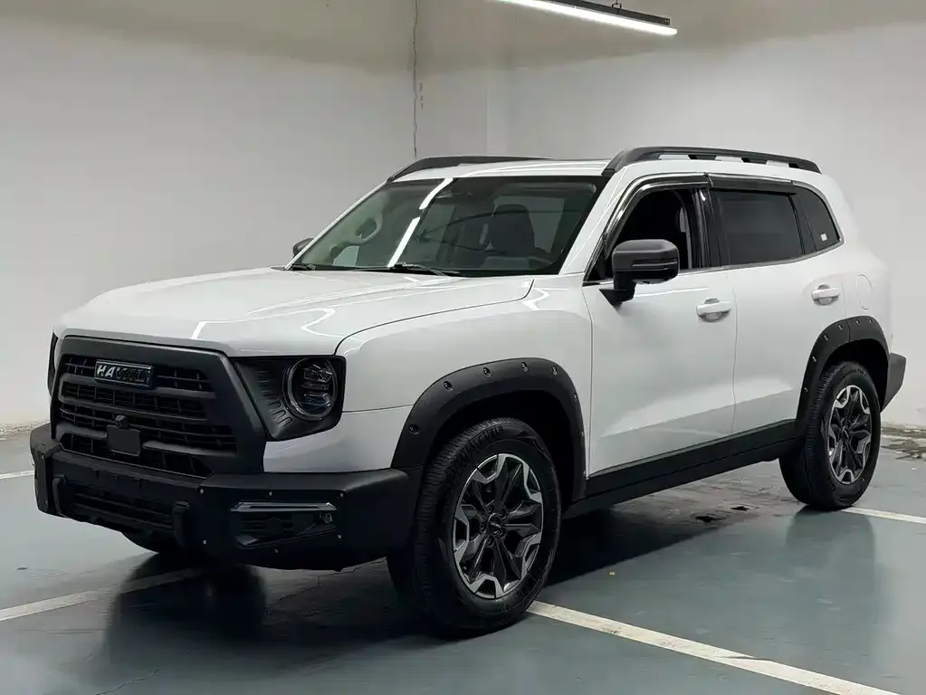 Haval Big Dog 2024 из CN, фото 7